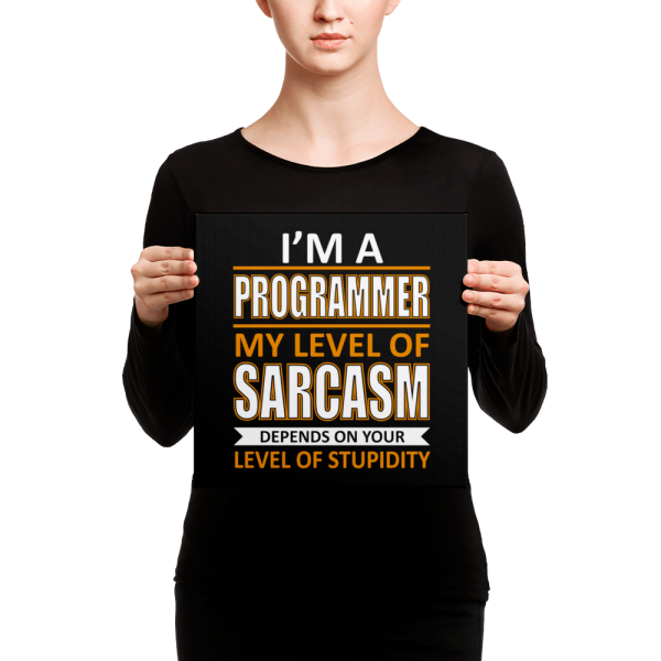 I'm a Programmer (canvas) - Programming Tshirt, Hoodie, Longsleeve, Caps, Case - Tee++